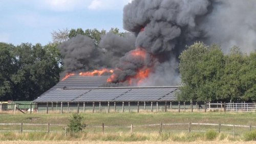 Cloppenburg: Feuer auf Bauernhof: Wohl Millionenschaden