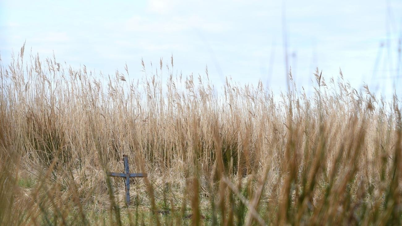Toter auf Sylt: Nach Leichenfund auf Sylt: Behörden äußern Verdacht