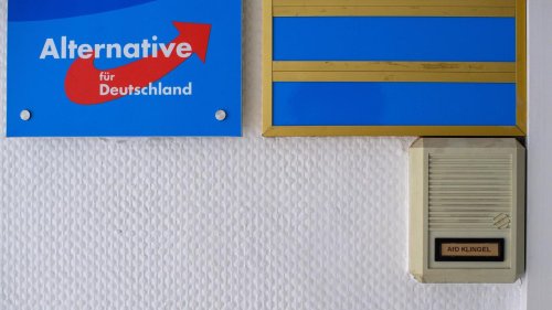 Alternative für Deutschland: Menschenrechts-Institut sieht Voraussetzungen für AfD-Verbot erfüllt