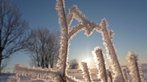 Wetter: Frost und Sonne in Sachsen-Anhalt