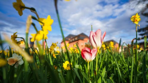 Wetter: Bis zu 16 Grad in der kommenden Woche