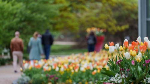 Wetterausblick: Launenhaftes Aprilwetter an Ostern