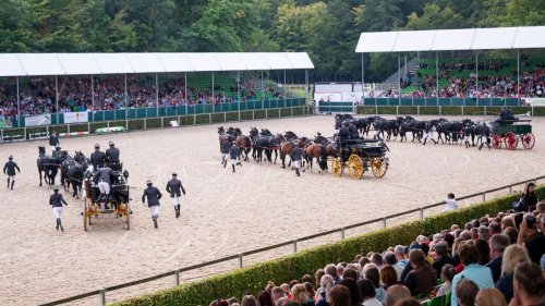 Pferde: Moderne Reithalle für Sachsens Landgestüt im Rohbau fertig