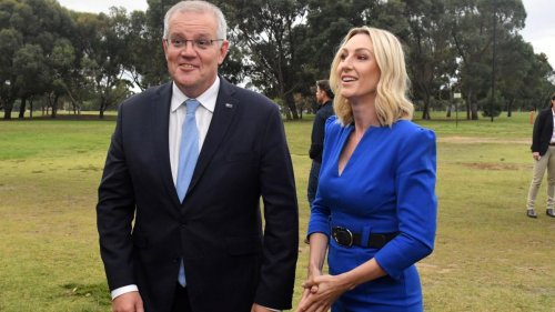 Parlamentswahl in Australien: Wahl in Australien: Oktopus-Orakel sagt Gewinner voraus