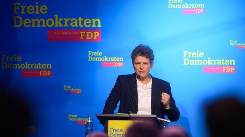 Parteien: FDP will neuen Landesvorstand wählen
