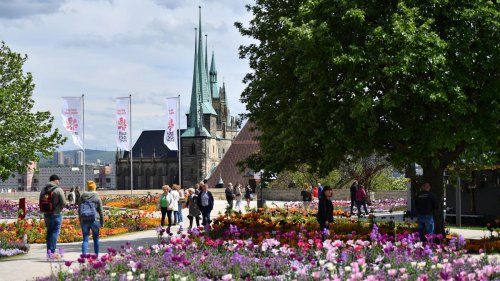 Ausstellungen: Stadtrat lehnt Bundesgartenschau 2026 in Erfurt ab