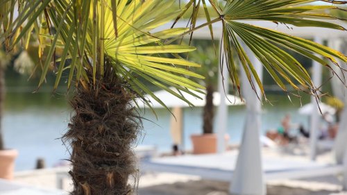 Sonne satt: Bis zu 29 Grad am 1. Mai - April schon sehr sonnig und warm