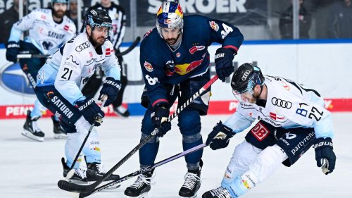 Deutsche Eishockey Liga: ERC Ingolstadt künftig ohne zwei Routiniers