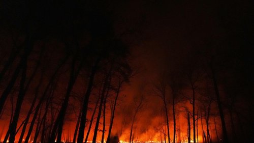 Feuer an der US-Ostküste: Tausende fliehen vor Waldbrand im US-Bundesstaat New Jersey