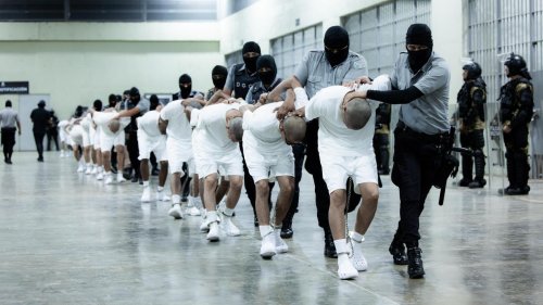Abschiebungen nach El Salvador: Aus USA abgeschobene Venezolaner offenbar doch keine Gangmitglieder