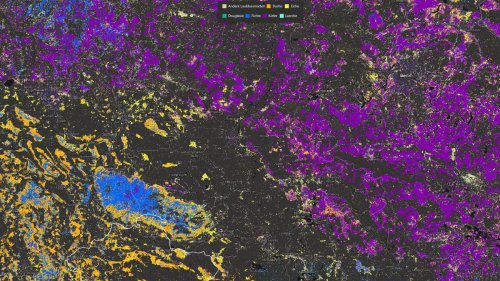 Wald in Deutschland: Satellitengestützte Baumkarte für Deutschland vorgestellt