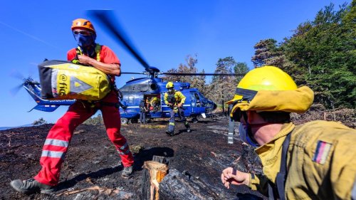Sächsische Schweiz: Hoffnung bei Waldbrand: Analyse angekündigt