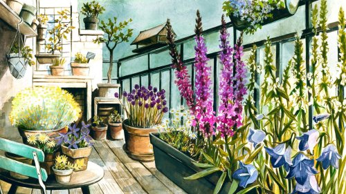 Wildpflanzen: So machen Sie Ihren Balkon zum Naturschutzgebiet