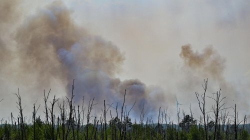 Brände erkennen: Waldbranderkennung: Sensoren schlagen an, Drohne kommt