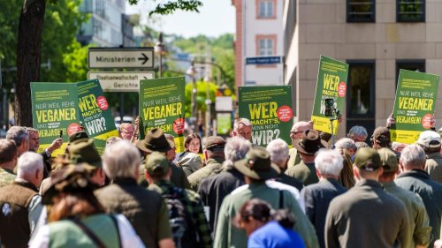 Landtag: Noch immer viel Kritik am Jagdgesetz