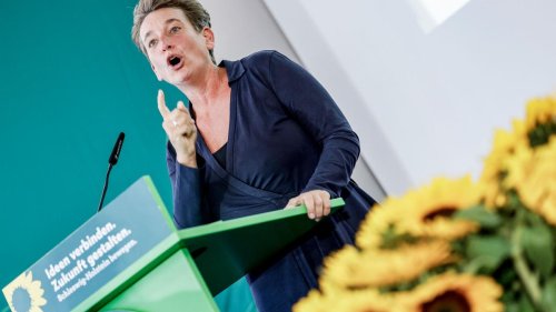 Parteitag: Nord-Grüne beraten über Böllerverbot, Schülerticket und Wahl