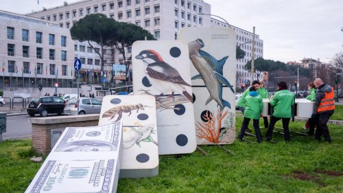 Biodiversität: "Hoffnungsschimmer": UN-Naturkonferenz beschließt Finanzplan