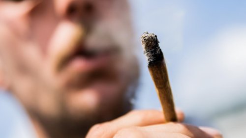 UN-Drogenbericht: Steigender Cannabiskonsum belastet Gesundheitswesen
