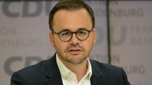 Debatte um Tesla-Chef: "Nazi"-Äußerung zu Tesla: CDU-Landeschef für Rücktritt