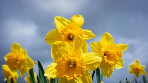 Wetterbilanz: Aprilwetter in Sachsen: Warm, sonnig und wieder trocken