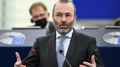 EU: Kritik an Manfred Weber wegen Nähe zu rechter Italien-Regierung