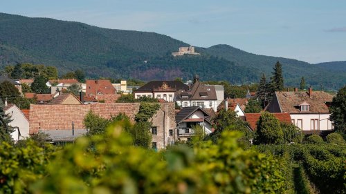 Land feiert sich selbst: Rund 225.000 Menschen bei Rheinland-Pfalz-Tag erwartet