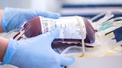 Gesundheit: Blutspenden: Rotes Kreuz bangt um Lage ab Ende des Monats