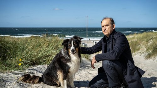 Schauspieler und Landwirt: 70 Jahre Peter Heinrich Brix: Fernsehstar mit Bodenhaftung