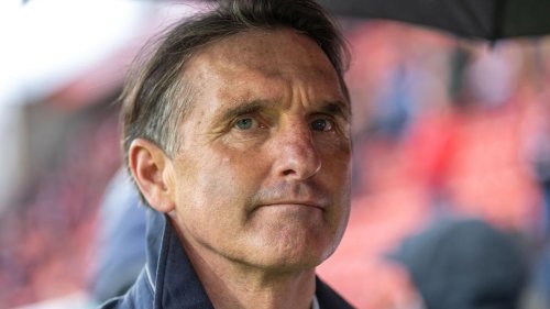 Bundesliga: "Bild": Trainer Labbadia beim VfB Stuttgart vor dem Aus