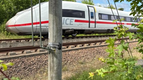 Bahn: Mit Piepsen und Blinken Wildunfälle auf Gleisen vermeiden