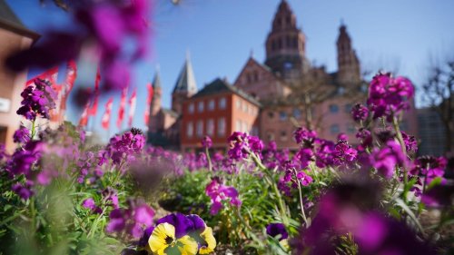 Rheinland-Pfalz und Saarland: Sonnenschein und bis zu 22 Grad - danach Regen möglich