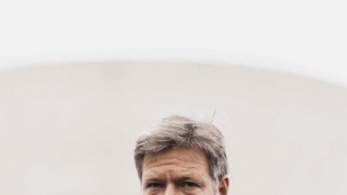 Bundeswirtschaftsministerium: Warum holt sich Robert Habeck eine Heuschrecke in sein Ministerium?