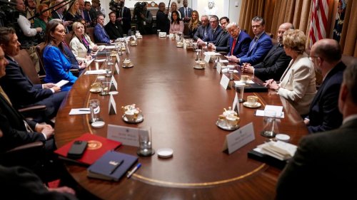 Regierung: Trumps Kabinett der Schmeichler