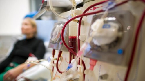 Dialyse: Nierenleiden in Mecklenburg-Vorpommern besonders häufig