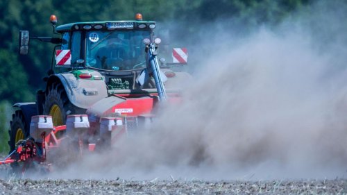Dürre: Trockenheit: Agrarminister stellt Bauern Hilfe in Aussicht