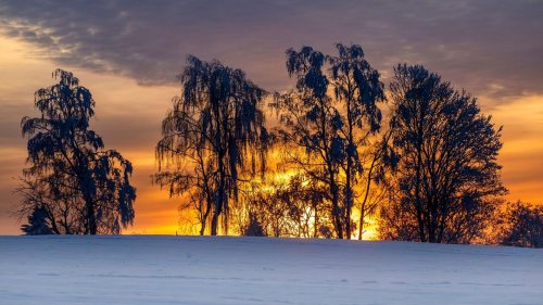 Wetter: Winter-Wochenstart: Sachsen, Sachsen-Anhalt und Thüringen