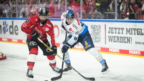 Deutsche Eishockey Liga: ERC Ingolstadt verlängert Vertrag mit Stürmer Krauß