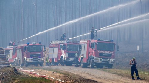 Bei Finsterwalde: Weiterer Waldbrand: Mittlerweile 236 Waldbrände