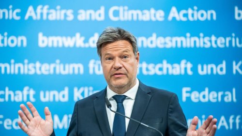 Energie: Diskussion über neue Holzheizungen: Habeck kompromissbereit