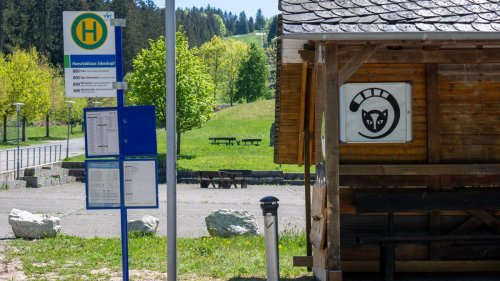 Nationalpark: Was Besucher im Nationalpark Hunsrück-Hochwald machen können