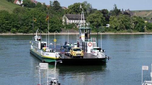 Kurioses: Historisches Amphibienfahrzeug fährt sich im Rhein fest