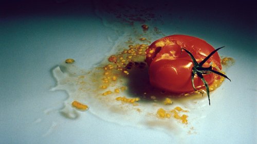 Hansjörg Hofers Tomatenwurf: Eine saftige Protestaktion