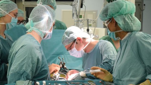 Gesundheit: 500 Patienten stehen auf Warteliste für Transplantation