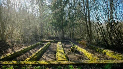 Konzentrationslager Juliushütte in Ellrich: Forschende rekonstruieren KZ-Außenlager