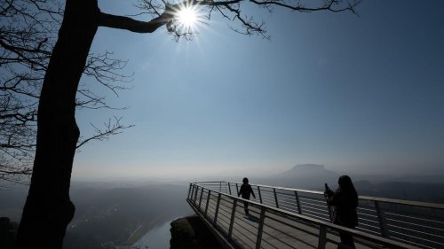 Naturschutz: 190.000 Bäume in Sächsischer Schweiz gepflanzt