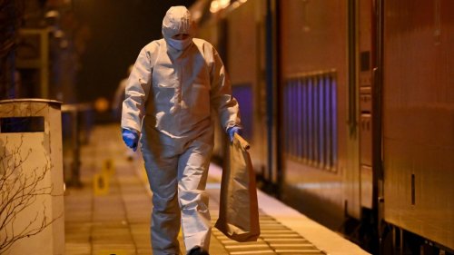 Messerangriff bei Brokstedt: Hamburger Vollzugsbehörden ignorierten Einwand eines Gerichts