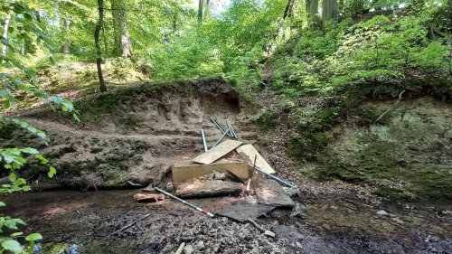 Umweltsünden: Beschädigungen in Naturschutzgebiet - Eisvögel in Gefahr