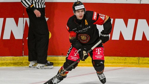 Deutsche Eishockey Liga: Nächster Nationalspieler: Adler holen Ehl aus Düsseldorf