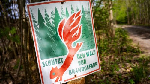 Wetter im Norden: Sonniges und trockenes Wetter lässt Waldbrandgefahr steigen