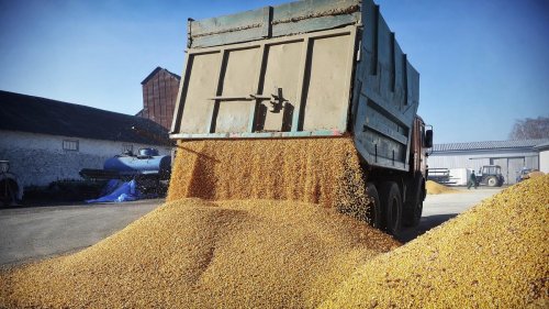 Ukraine-Krieg: Östliche EU-Staaten beklagen günstiges Getreide aus der Ukraine